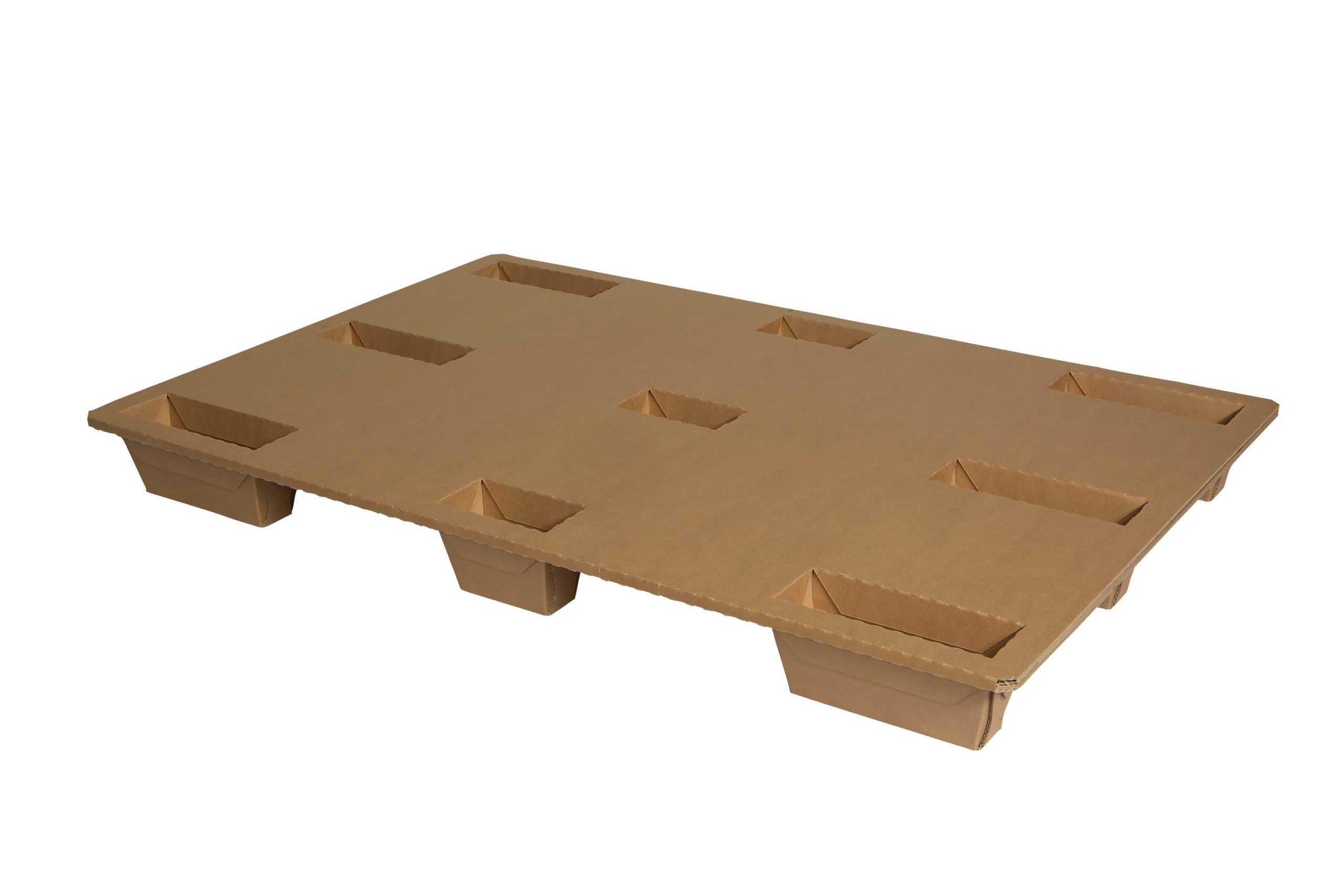 CP ant 1200x800