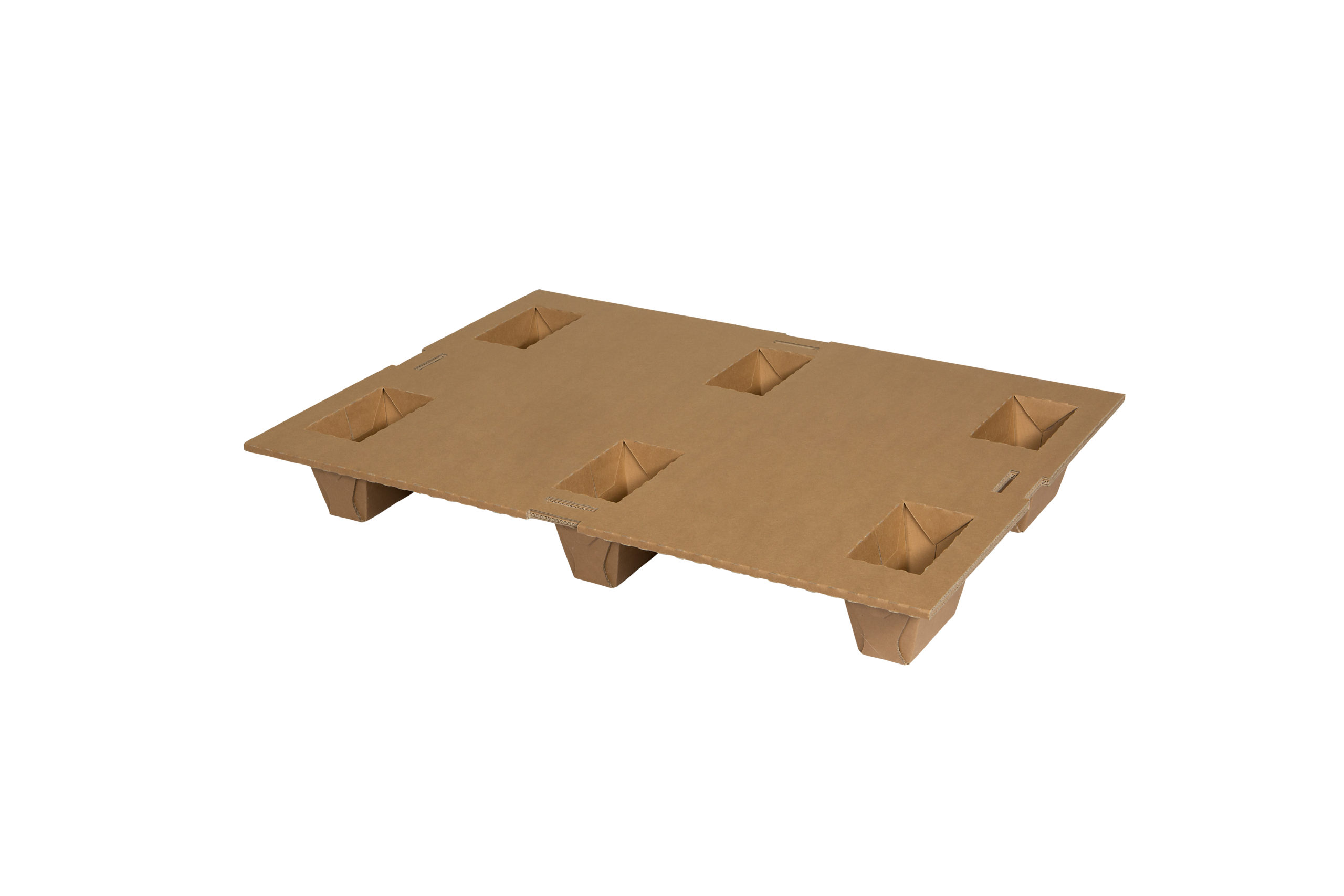 CP ant 800x600